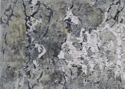 Schaum 2020 C.Kreiser Holzschnitt ca A4